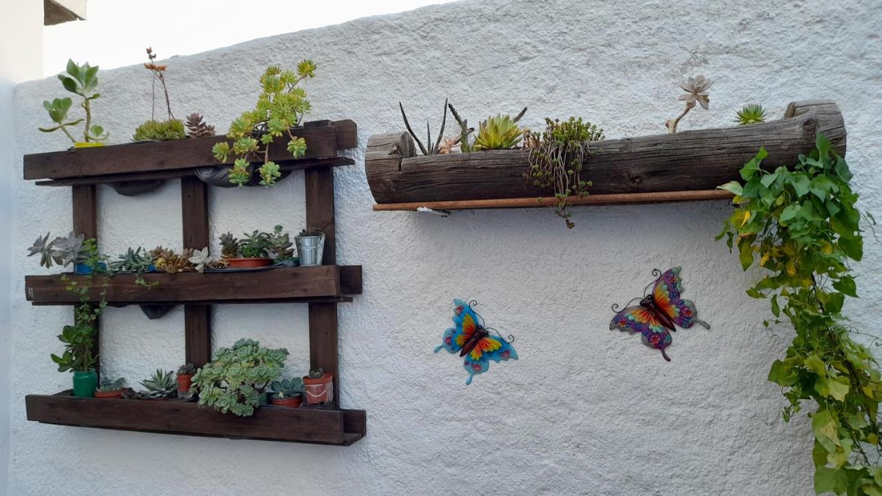Vila Casa 4P - Alojamento Local - Pura Paixao Por Penacova Exteriér fotografie
