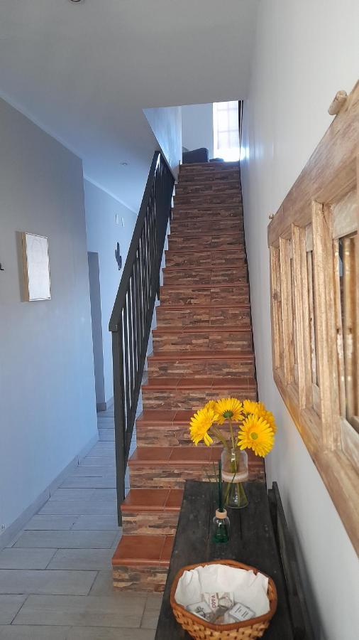 Vila Casa 4P - Alojamento Local - Pura Paixao Por Penacova Exteriér fotografie