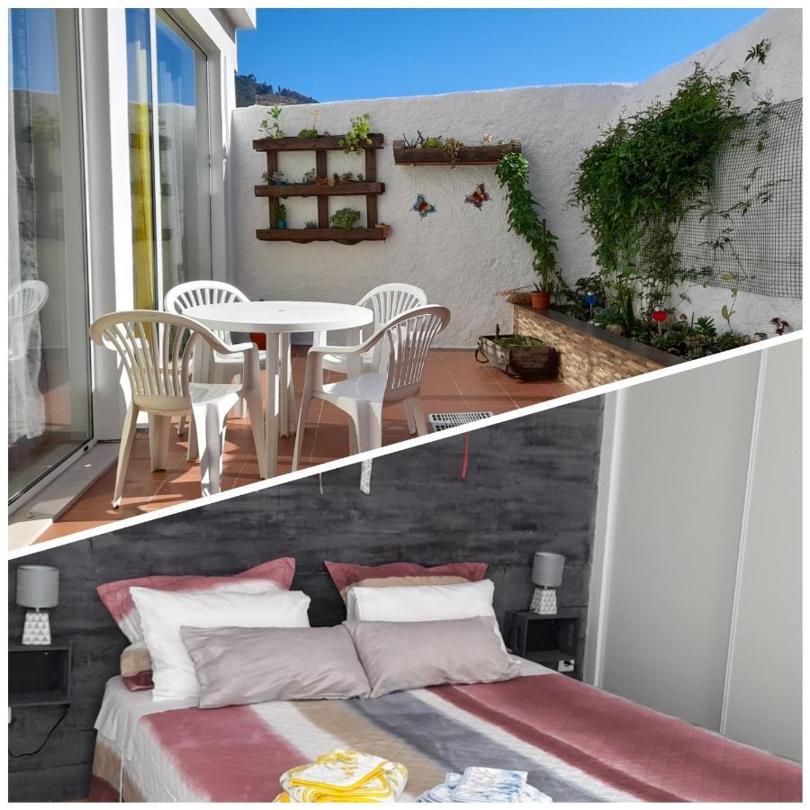 Vila Casa 4P - Alojamento Local - Pura Paixao Por Penacova Exteriér fotografie