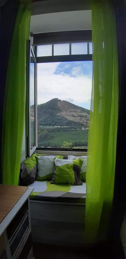 Vila Casa 4P - Alojamento Local - Pura Paixao Por Penacova Exteriér fotografie