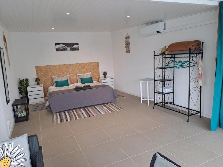 Vila Casa 4P - Alojamento Local - Pura Paixao Por Penacova Exteriér fotografie